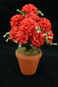 Red Carnation-Mum Bush x12  (Lot of 1) SALE ITEM